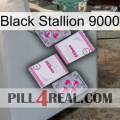 Black Stallion 9000 33